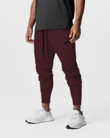 Multi-Pocket Elastic Cuff Cargo Pants - Wine